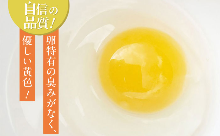 【全3回定期便】平飼いニワトリの有精卵！ほんまの卵定期便 計60個（20個×3回） / たまご / 佐賀県 / 本間農園 [41AJAA019]