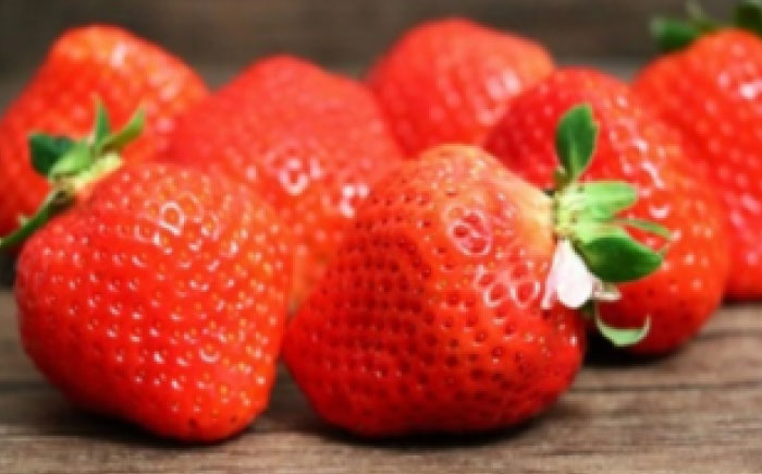 【2026年発送分 先行予約】いちご4パック（いちごさん2パック+おまかせ2パック） / フルーツ / 佐賀県 / 一般社団法人龍乃 [41ANAC006]