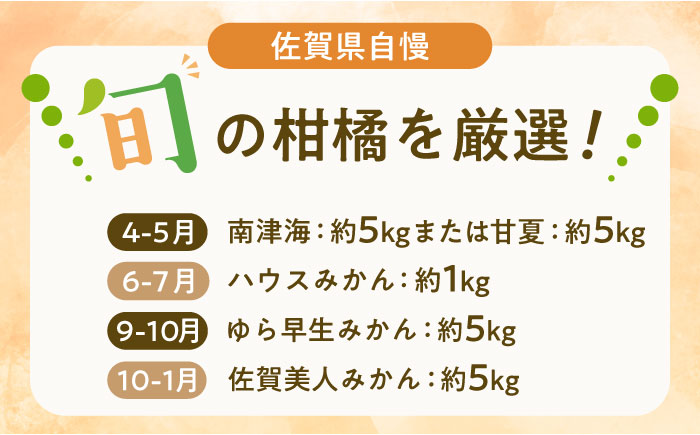 旬の柑橘類 / フルーツ / 佐賀県 / 一般社団法人龍乃 [41ANAC098]