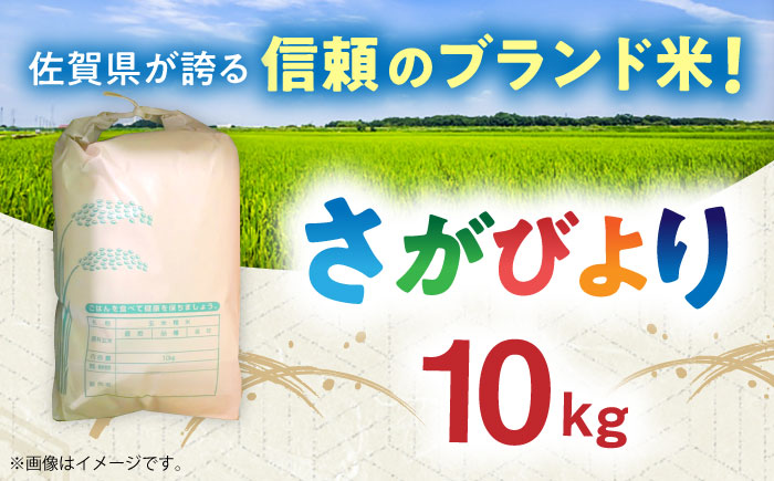 令和7年産 さがびより 白米 10kg / お米 白米 精米 / 佐賀県 / 一般社団法人龍乃 [41ANAC107]