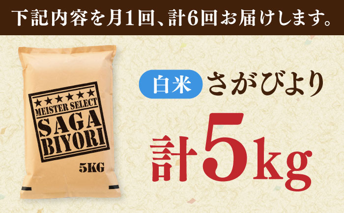 【全6回定期便】さがびより 白米 5kg / 五つ星お米マイスター厳選 特A 精米 / 佐賀県 / 大塚米穀店 [41ANAD013]