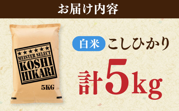 令和7年産 こしひかり 白米 5kg / 精米 / 佐賀県 / 大塚米穀店 [41ANAD035]