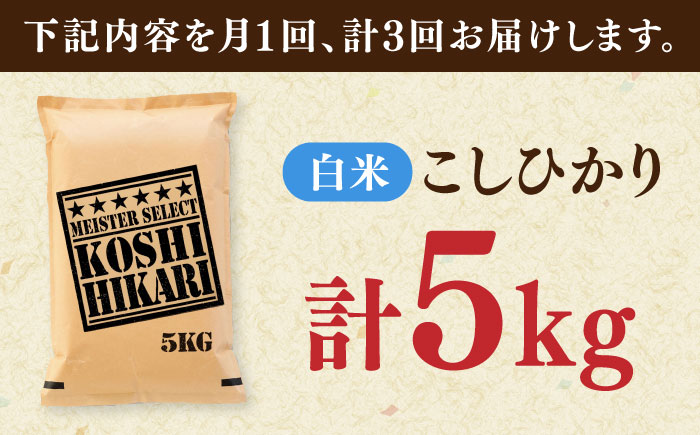 【全3回定期便】令和7年産 こしひかり 白米 5kg / 精米 / 佐賀県 / 大塚米穀店 [41ANAD036]