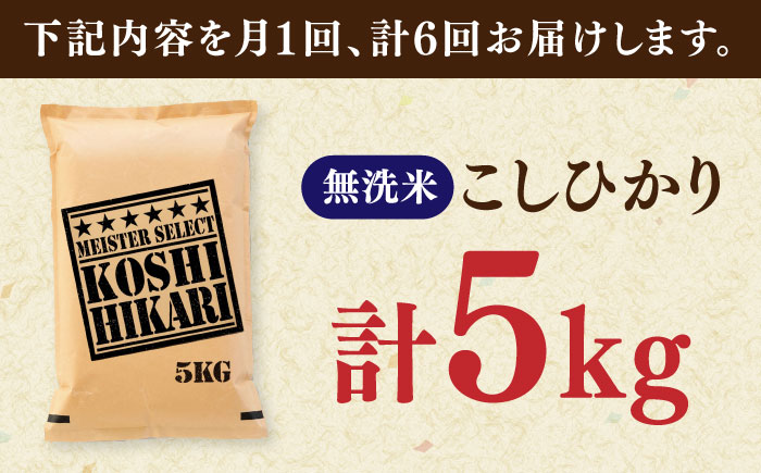 【全6回定期便】令和7年産 こしひかり 無洗米 5kg / 佐賀県 / 大塚米穀店 [41ANAD043]