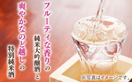 天吹 2種類飲み比べ 720ml×2本 / 日本酒 純米大吟醸 特別純米 / 佐賀県 / 天吹酒造合資会社 [41ANCX002]