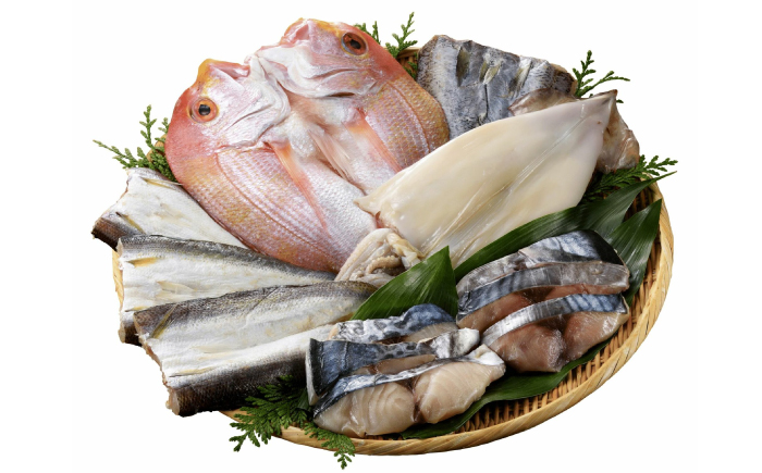 玄界灘の贅沢干物 全6種食べ比べセット（イカ・アジ・カマス・サバ・連子鯛 等） / 惣菜 / 佐賀県 / 丸福水産 [41AOCS003]