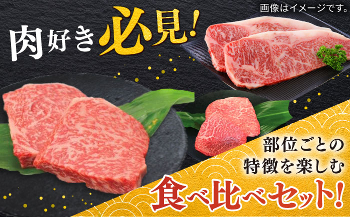 佐賀牛ステーキセット 計400g（100g×4枚）/ 牛肉 / 佐賀県 / 株式会社中山牧場 [41AOCW001]