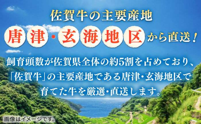 佐賀牛切り落とし 計1.5kg（250g×6パック） / 牛肉 / 佐賀県 / 株式会社中山牧場 [41AOCW019]