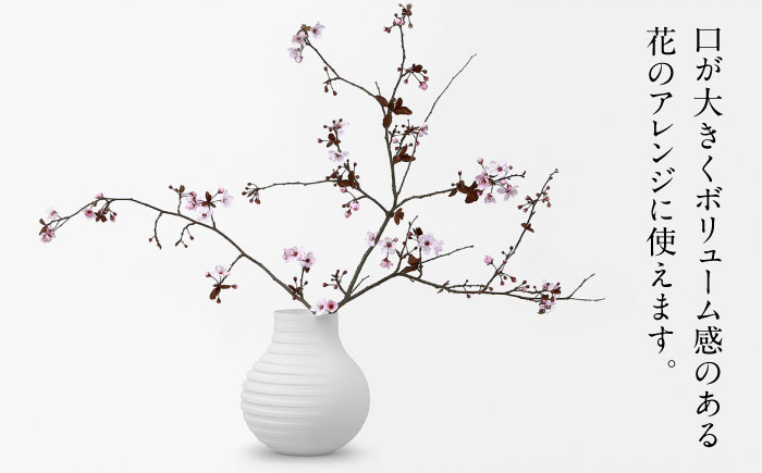 【ロマ佐賀】【有田焼】ミュータントベース / 花瓶 / 佐賀県 / 株式会社まるぶん [41APCD014]