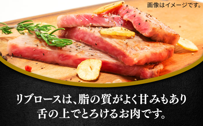 佐賀牛サーロインステーキ計800g（200g×4枚） / 牛肉 / 佐賀県 / 田中畜産牛肉店 [41ARAA003]