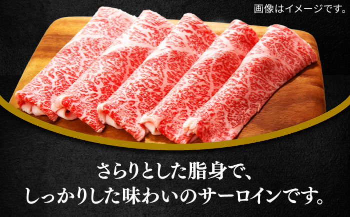 佐賀牛サーロインスライス400g / 牛肉 / 佐賀県 / 田中畜産牛肉店 [41ARAA004]