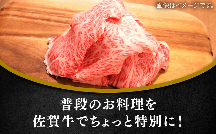 佐賀牛ロース切り落とし400g / 牛肉 / 佐賀県 / 田中畜産牛肉店 [41ARAA007]