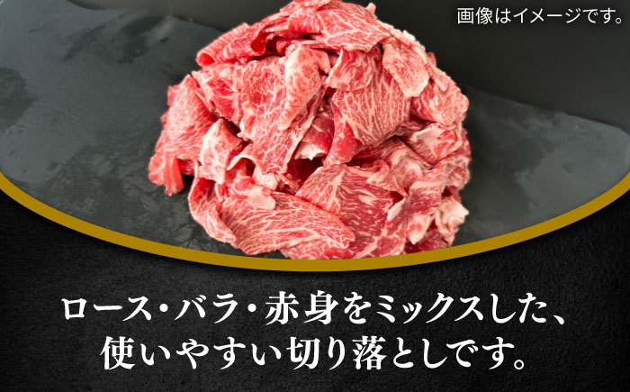 佐賀牛切り落とし600g（ロース・バラ・赤身）/ 牛肉 / 佐賀県 / 田中畜産牛肉店 [41ARAA009]