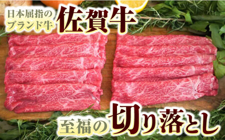 【ロマ佐賀】【全6回定期便】佐賀牛至福の切り落とし 計3kg（250g×2袋×6回）/ 牛肉  / 佐賀県 / 有限会社佐賀セントラル牧場 [41ASAA019]