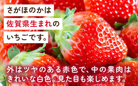 【2026年発送分 先行予約】【化粧箱入り】白石産いちご「さがほのか」400g / フルーツ / 佐賀県 / 岸川農園 [41ASAG003]