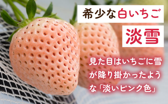 【2026年発送分 先行予約】【全3回定期便】淡いピンクの白いちご「淡雪」 計1.32kg （220g×2パック×3回） / フルーツ / 佐賀県 / 岸川農園 [41ASAG005]