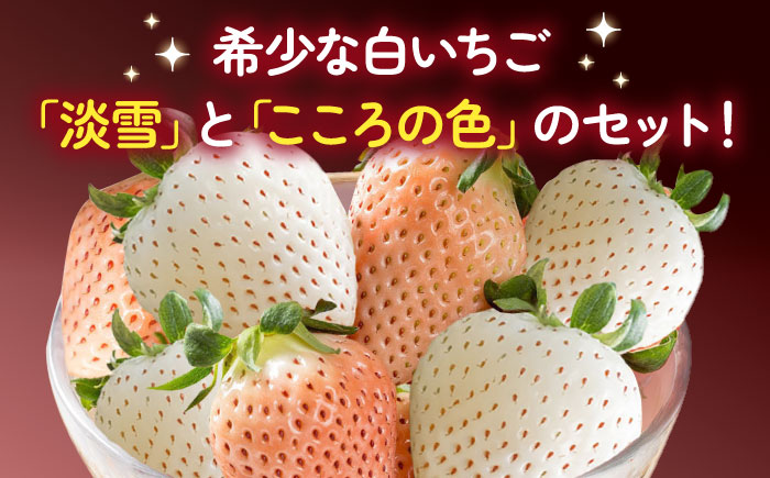 【2026年発送分 先行予約】淡雪・こころの色 白いちごプレミアム 計440g（220g×2パック）/ 佐賀県 / 岸川農園 [41ASAG007]