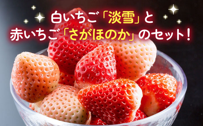 【2026年発送分 先行予約】淡雪・さがほのか 紅白いちごセット 220g×8パック / フルーツ / 佐賀県 / 岸川農園 [41ASAG012]