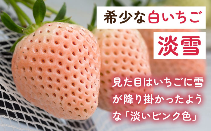 【2026年発送分 先行予約】淡いピンクの白いちご「淡雪」220g×4パック / フルーツ / 佐賀県 / 岸川農園 [41ASAG013]