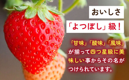 【2026年発送分 先行予約】よつぼし（220g×2パック）/ いちご / 佐賀県 / 岸川農園 [41ASAG038]