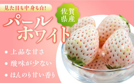 【2026年発送分 先行予約】佐賀県産 パールホワイト 約220g×2パック / いちご / 佐賀県 / かわさきいちご [41ASBJ003]