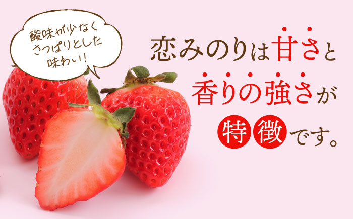 【先行予約】恋みのり・こころの色 220g×2パック（各1パック） / いちご / 佐賀県 / 鐘ヶ江農園 [41ASBK007]