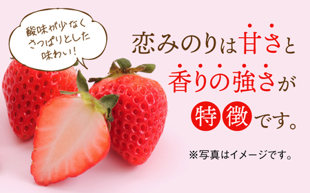 【2026年発送分 先行予約】恋みのり・さがほのか 各220g 詰め合わせセット / いちご / 佐賀県 / 鐘ヶ江農園 [41ASBK008]