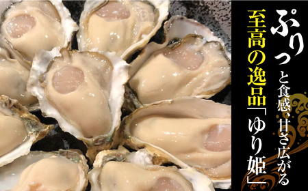 竹崎産 ブランド生牡蠣「ゆり姫」5kg（ナイフ付き）/ かき / 佐賀県 / 宗徳丸 [41ATAF004]