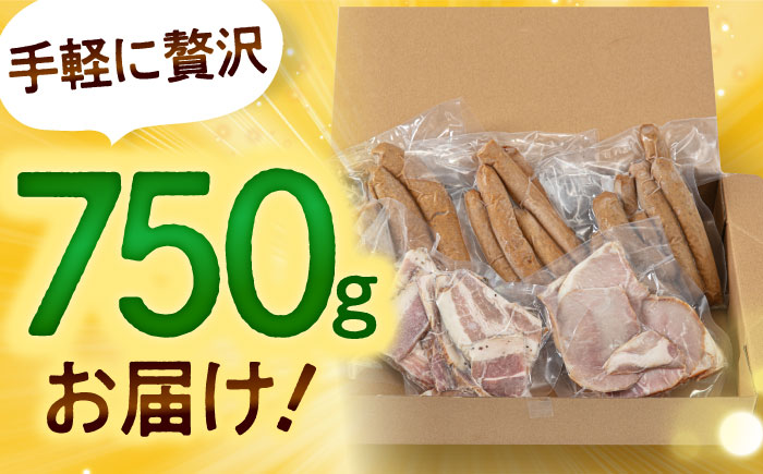 訳あり！ほまれハム・ソーセージ詰め合わせ 計750g（約150g×5パック） / 加工肉 / 佐賀県 / 有限会社田嶋畜産 [41ATBP005]