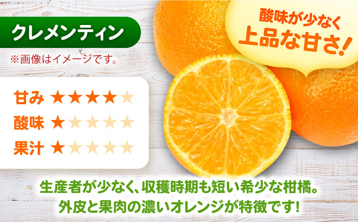 クレメンティン 計3kg（2.6kg＋400g傷み保証分）3S-Mサイズ / みかん / 佐賀県 / 山本農園 [41ATBT007]
