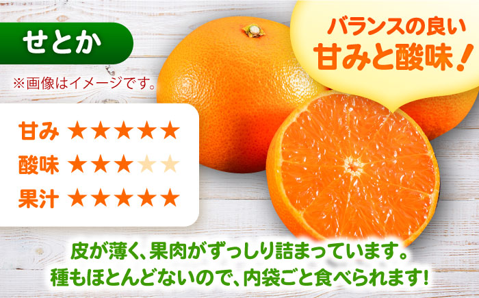 【訳あり】せとか 計3kg（2.6kg＋400ｇ傷み保証分） S-3Lサイズ / みかん / 佐賀県 / 山本農園[41ATBT010]