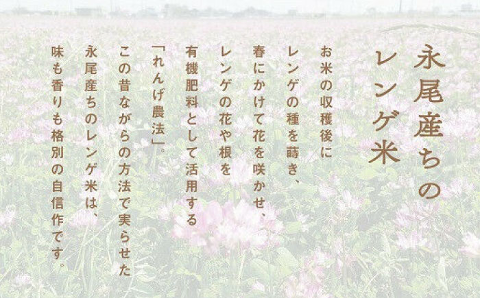 1年がかりのれんげ米（ひのひかり）10kg（5kg×2袋） / 精米 / 佐賀県 / 永尾産ち [41AAAC008]