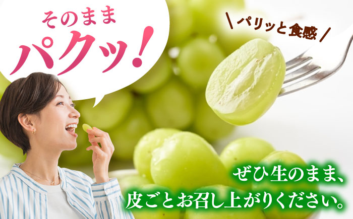 【2026年発送分 先行予約】シャインマスカット 計1.4kg（2房入り） / フルーツ / 佐賀県 / 石橋果樹園 [41AAAJ001]