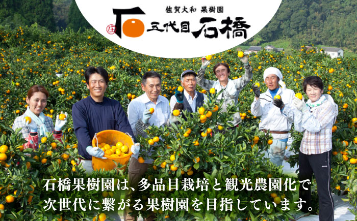 五代目みかん約4.5kg（40-50個） / フルーツ / 佐賀県 / 石橋果樹園 [41AAAJ003]