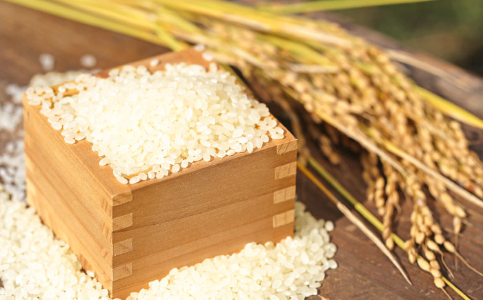 さがびより 五分づき無洗米 4kg (2kg×2袋) / 無洗米 佐賀県産 国産 / 佐賀県 / 株式会社SUMRICE [41AAAV003]