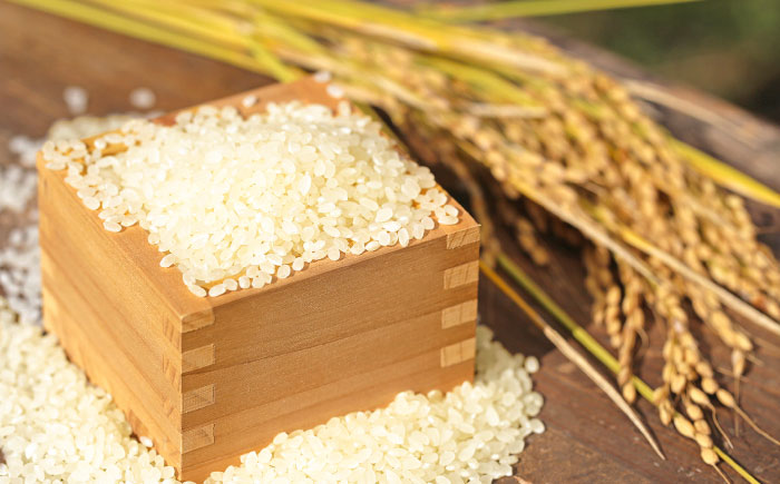 さがびより 七分づき無洗米 4kg (2kg×2袋) / 無洗米 佐賀県産 国産 / 佐賀県 / 株式会社SUMRICE [41AAAV004]