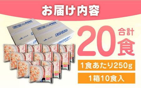 エビピラフ 250g×10食入 2箱セット / 冷凍食品 / 佐賀県 / さが風土館季楽 [41AABE037]