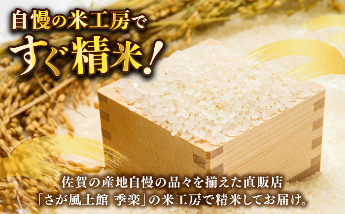 佐賀県産米/ 化粧箱入り】令和5年産 さがひのひかり 約9kg / お米 精米 ブランド米 ふるさと納税米 贈答用/ 佐賀県/さが風土館季楽  [41AABE050]