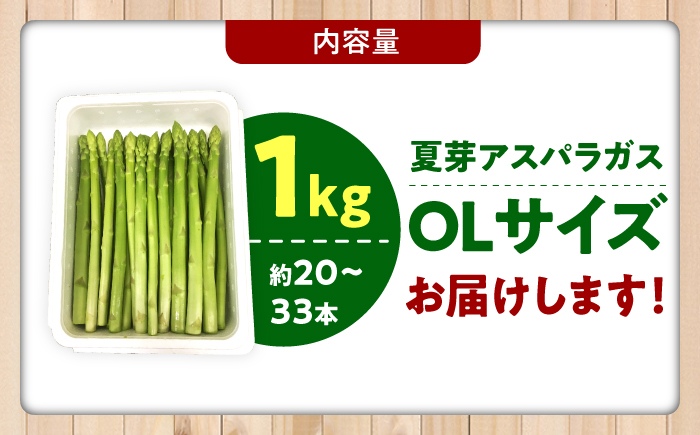 【2026年発送 先行予約】夏芽 アスパラガス 計1kg（〇Lサイズ） / 野菜 / 佐賀県 / さが風土館季楽 [41AABE104]