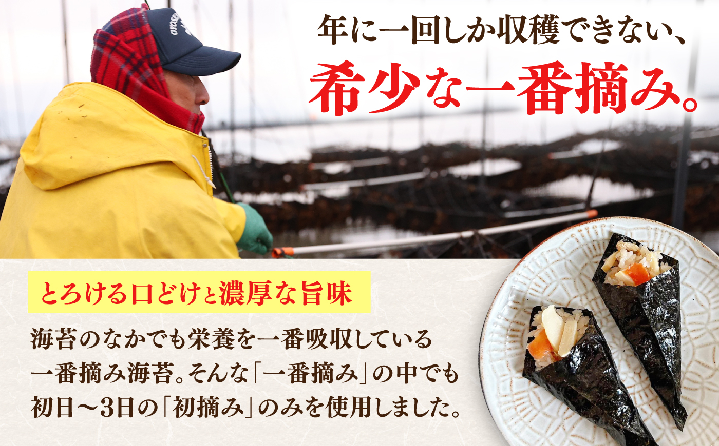 【全6回定期便】佐賀海苔 一流浜 一番摘み「無選別品」全形25枚（計150枚） / のり / 佐賀県 / 佐賀海苔一流浜 [41AABJ005]