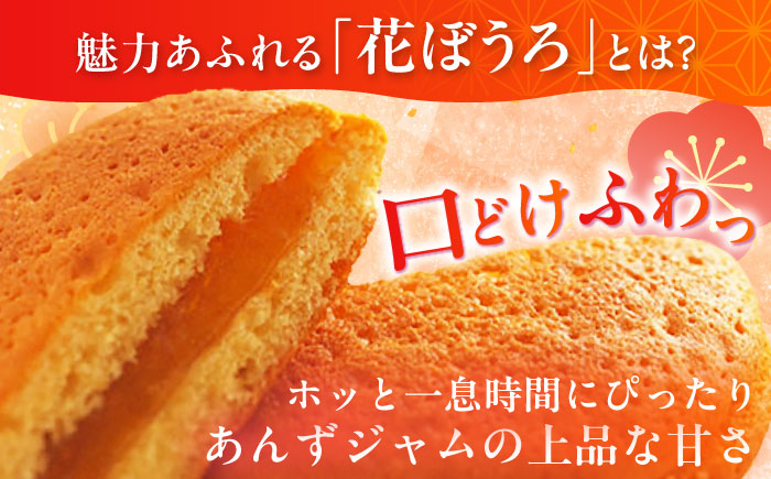 丸芳露6個・花ぼうろ4個 詰合せ / まるぼうろ / 佐賀県 / 株式会社北島 [41AABN001]