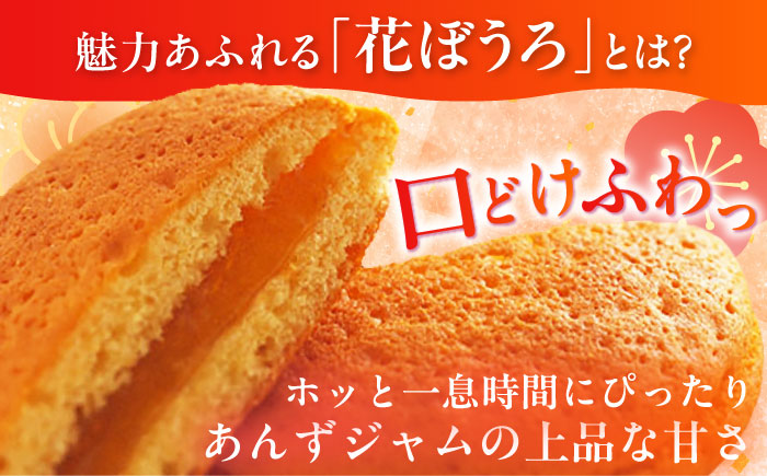 花ぼうろ あんずジャム入り 14個 / スイーツ / 佐賀県 / 株式会社北島 [41AABN006]