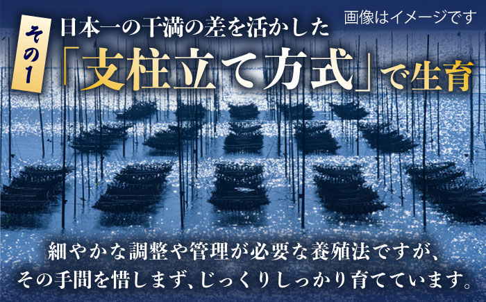 【ロマ佐賀】初摘み海苔 贅沢プレミアム焼のり6袋セットG / 佐賀県 / 有明の風 [41AACO012]