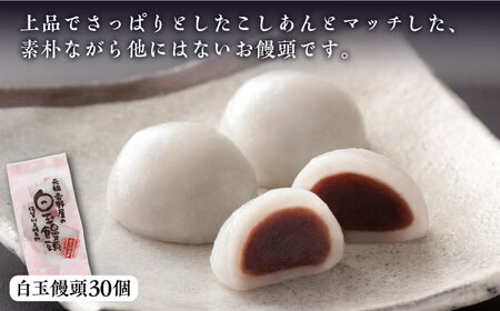 冷凍白玉饅頭詰合せ Cセット / スイーツ / 佐賀県 / 白玉饅頭元祖吉野屋 [41AACQ003]