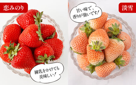 【2026年発送分 先行予約】【全4回定期便】希少いちご（恋みのり・パールホワイト・淡雪・冷凍いちご）食べ比べ定期便 / フルーツ / 佐賀県ふるさと納税 [41AAZZ003]