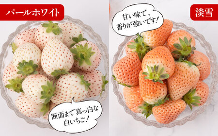 【2026年発送分 先行予約】【全5回定期便】白いちご2種と冷凍いちご / フルーツ / 佐賀県ふるさと納税 [41AAZZ004]