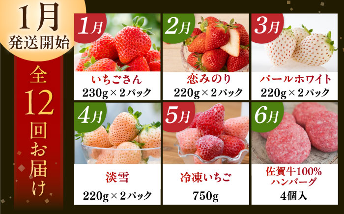 【2026年発送分 先行予約】【全12回定期便】佐賀県の生産者を応援！いちごと佐賀牛のわくわく定期便 / ステーキ ハンバーグ 切り落とし / 佐賀県ふるさと納税 [41AAZZ010]