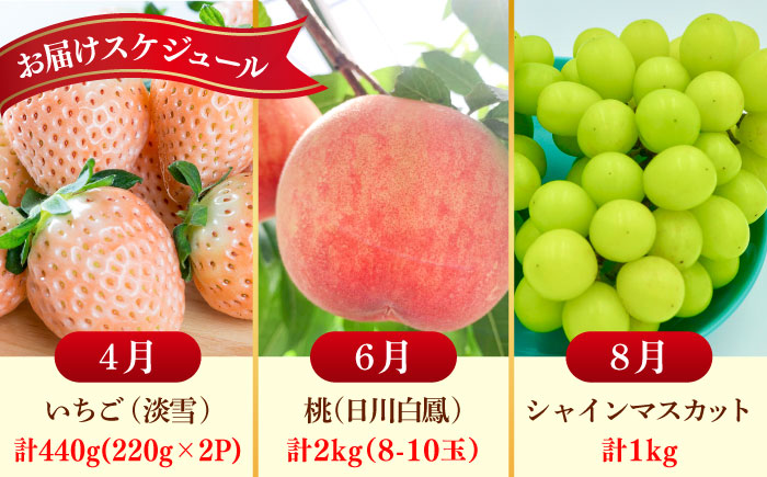【2026年発送分 先行予約】【全3回定期便】佐賀県の生産者を応援！いちごと桃とシャインマスカットを楽しむ定期便 / フルーツ / 佐賀県ふるさと納税 [41AAZZ020]