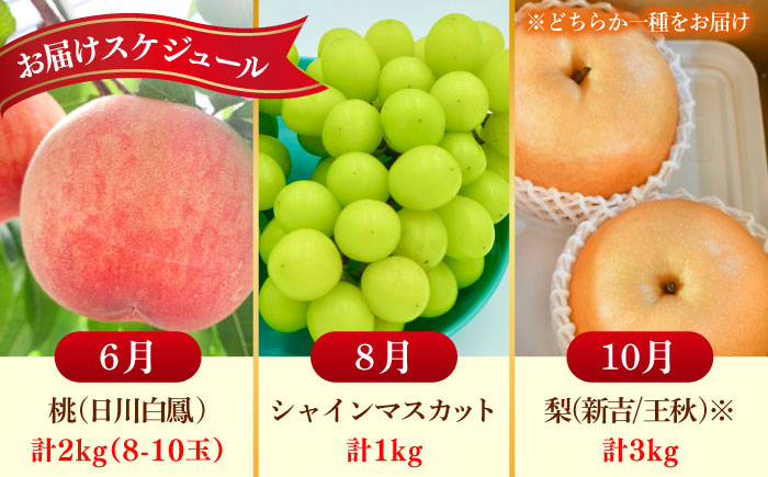 【2026年発送分 先行予約】【全3回定期便】佐賀県の生産者を応援！桃とシャインマスカットと梨を楽しむ定期便 / フルーツ / 佐賀県ふるさと納税 [41AAZZ021]
