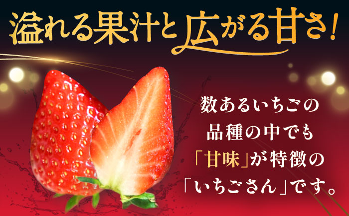 【2026年発送 先行予約】いちごさん 約1kg（約250g×4パック） / フルーツ / 佐賀県 / リフルット株式会社 [41ABAA001]